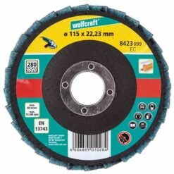 Wolfcraft Disques à Lamelles Feutre / Fibre Abrasive Non Tissée, 125 Mm - 8421099