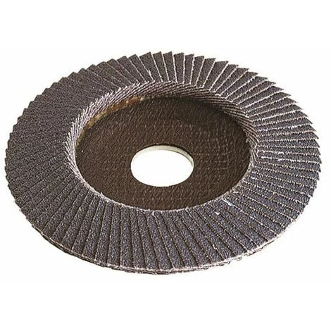 Wolfcraft Disque à Lamelles, Au Zirconium Corindon Grain 40 1 Wolfcraft Disque à Lamelles, Au Zirconium Corindon Grain 40