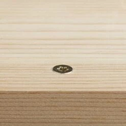 Wolfcraft 1539000 Porte-embout Avec Système D'arrêt De Profondeur 60 Mm Avec Aimant Et Vis De Fixation -Pas Cher WOLFCRAFT Magasin 29944923 4