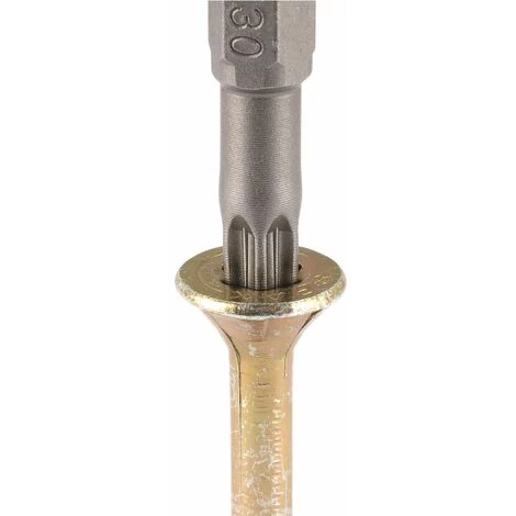 WOLFCRAFT 2 Bits Solides, Torx® (T 20) 2 WOLFCRAFT 2 Bits Solides, Torx® (T 20) – Image 2