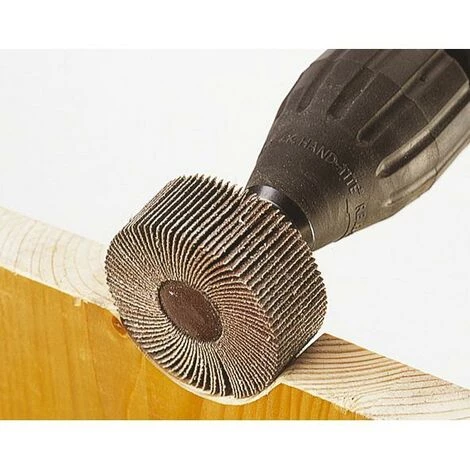 Rabots à Meuler Wolfcraft 20mm Grain 60 Ø 80 2 Rabots à Meuler Wolfcraft 20mm Grain 60 Ø 80 – Image 2